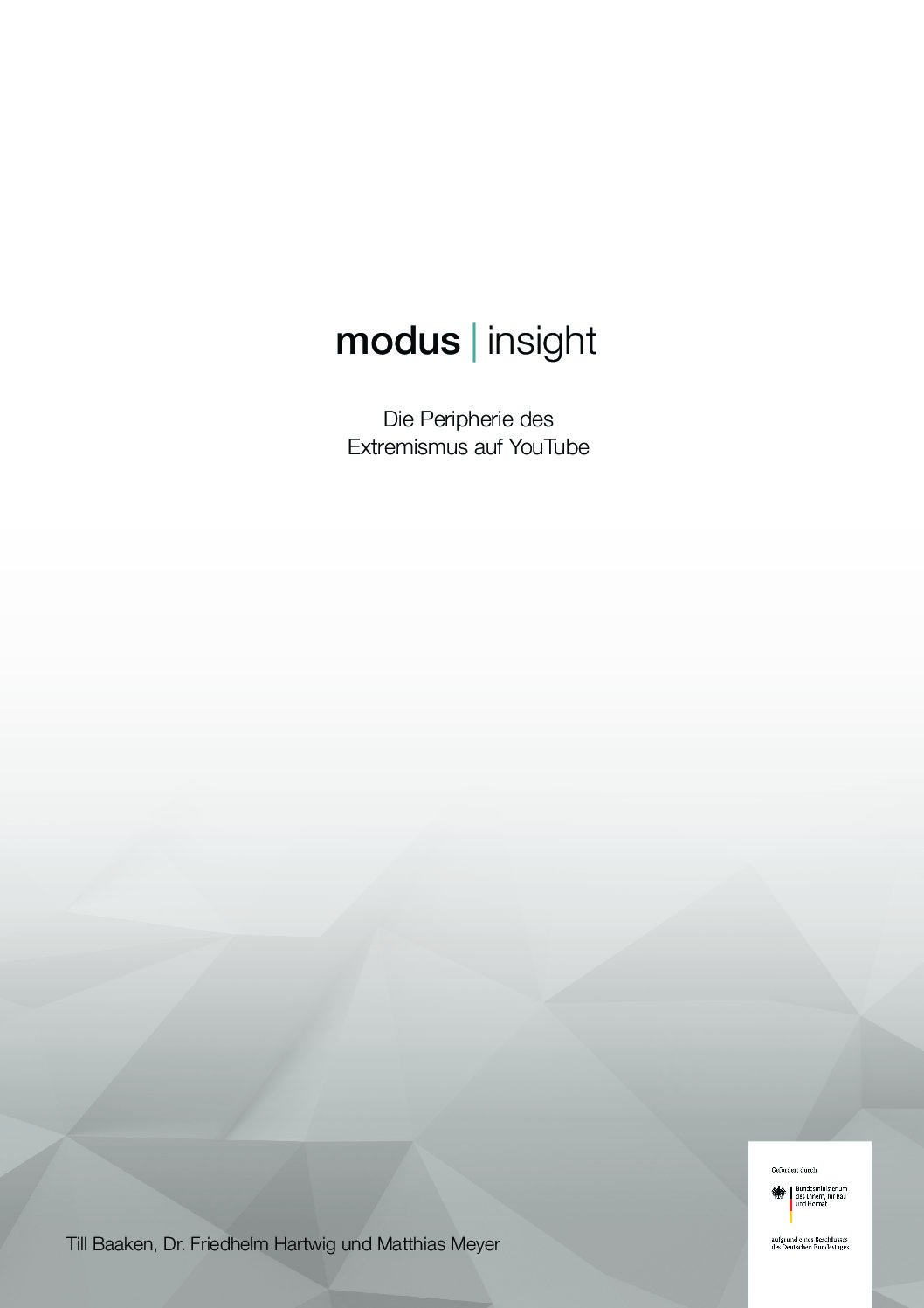 modus | blog - modus_insight_Die_Peripherie_Des_Extremismus_auf_YouTube2020-pdf